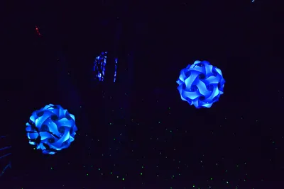 DSC_6971 (Large).JPG